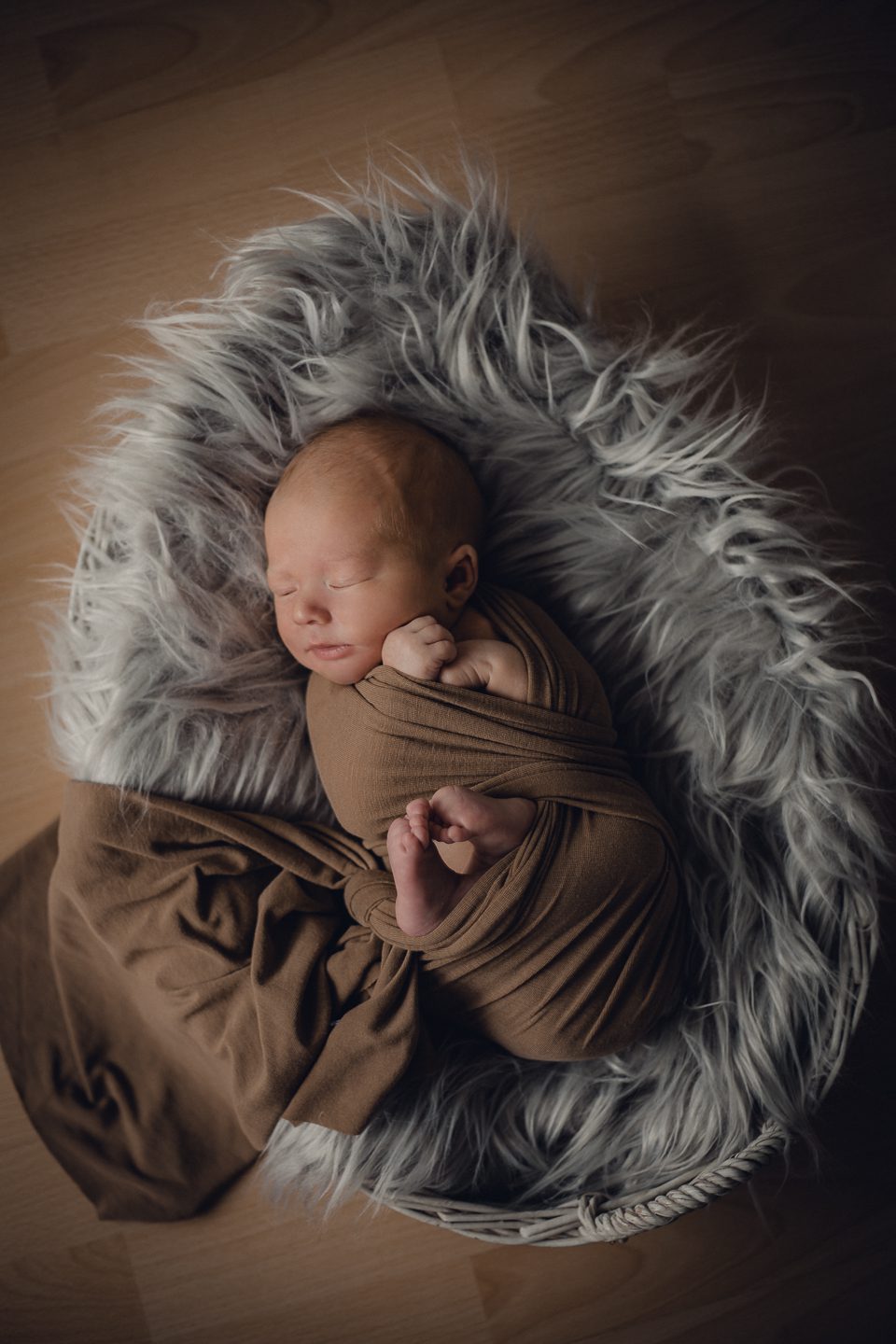 studio family shooting families fotos frischgebackenes glück new born