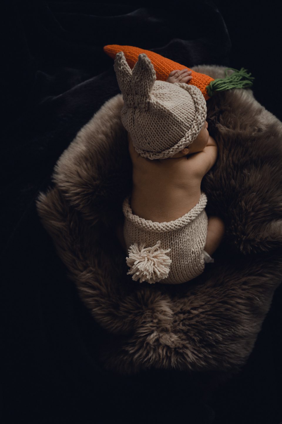 studio family shooting families fotos frischgebackenes glück new born
