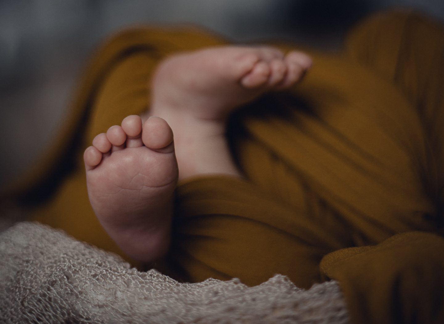 studio family shooting families fotos frischgebackenes glück new born