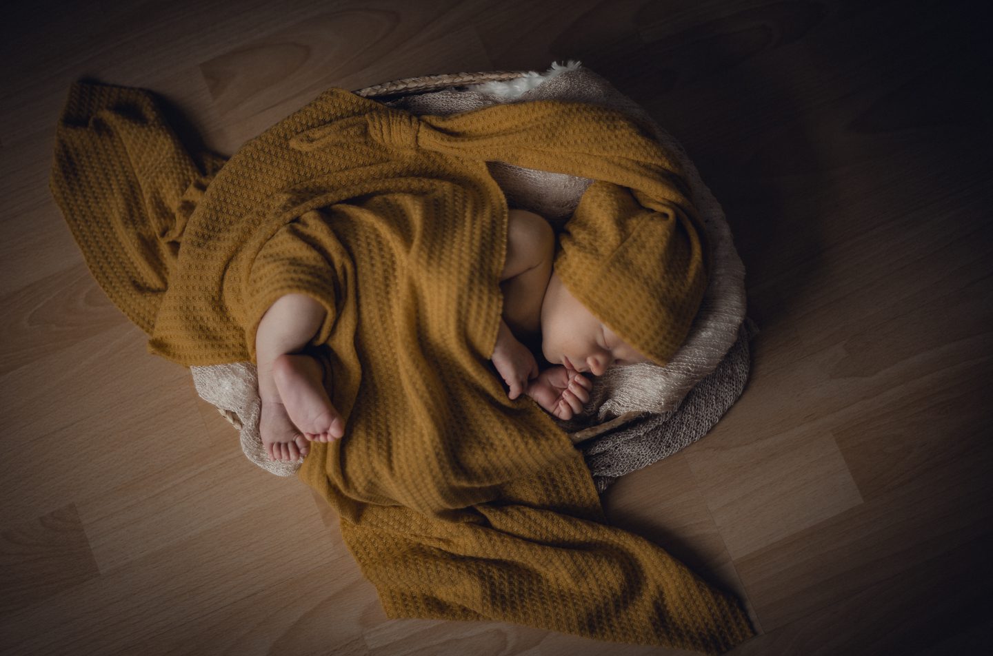 studio family shooting families fotos frischgebackenes glück new born