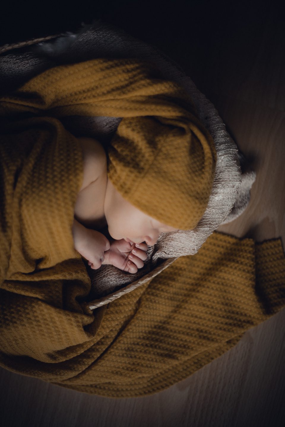 studio family shooting families fotos frischgebackenes glück new born