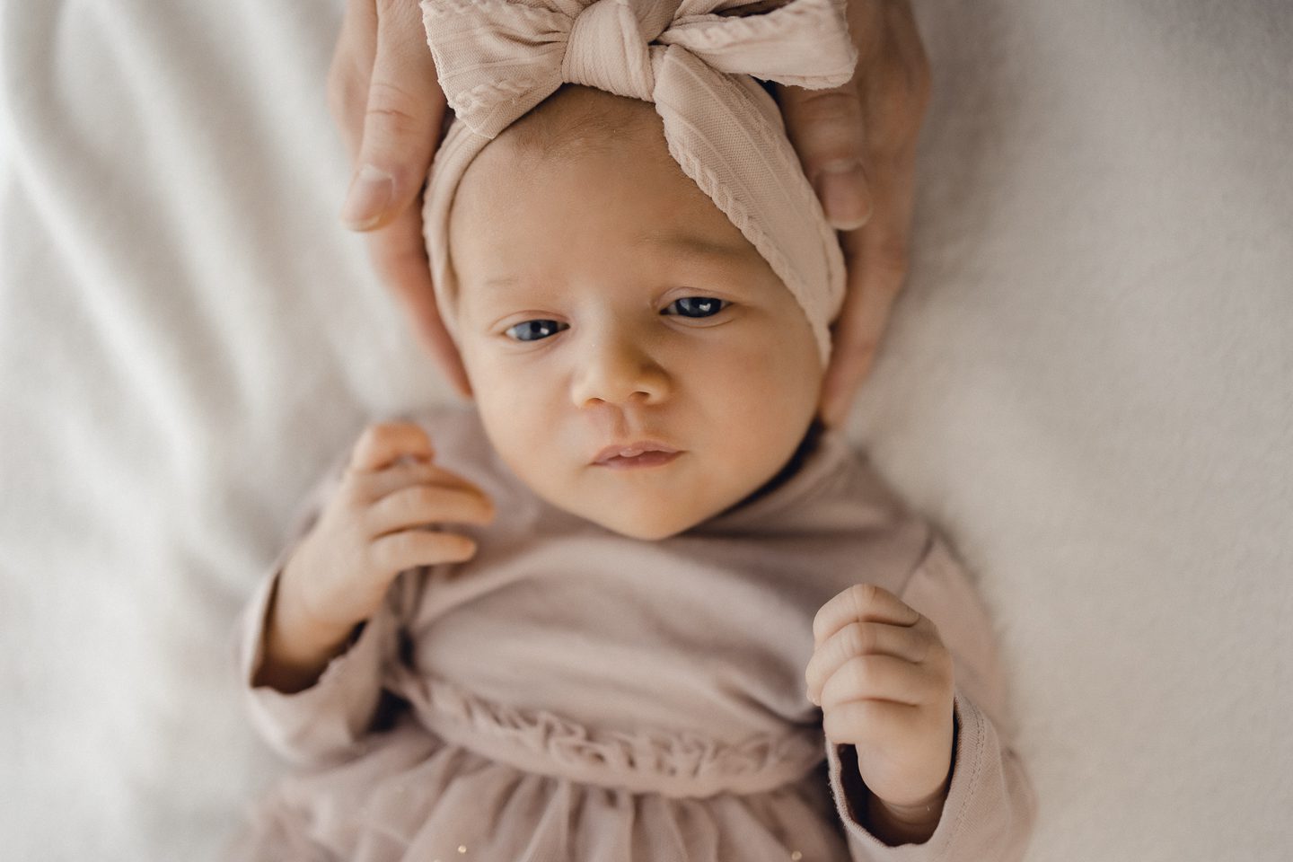 studio family shooting families fotos frischgebackenes glück Baby geschwister new born