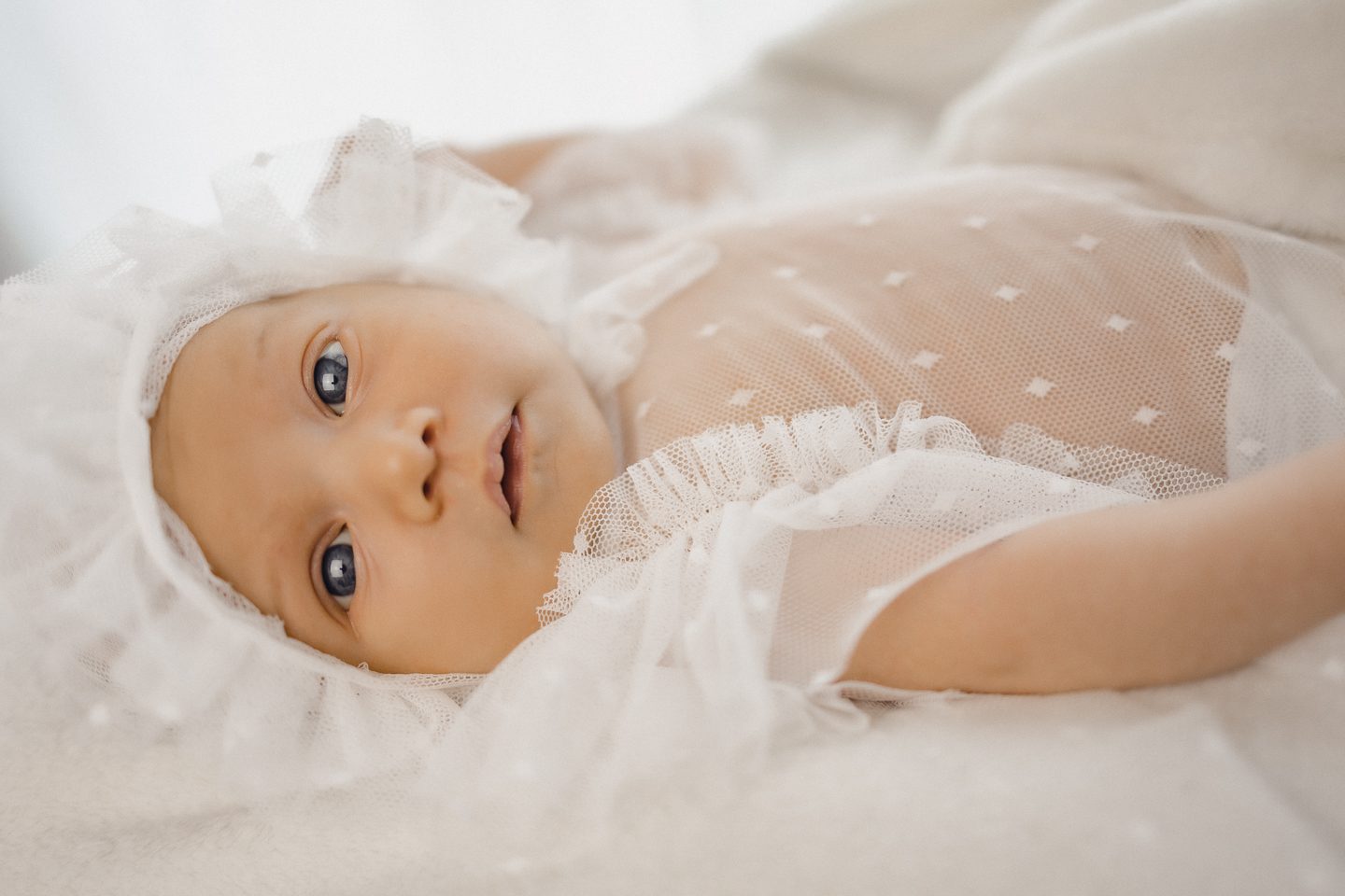 studio family shooting families fotos frischgebackenes glück Baby geschwister